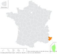 Silene succulenta subsp. corsica (DC.) Nyman - carte de répartition