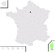 Silene velutina Pourr. ex Loisel. - carte de répartition