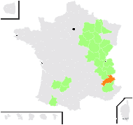 Silene glareosa Jord. - carte de répartition