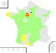 Spergula morisonii Boreau - carte de répartition