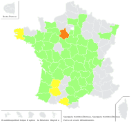 Spergula morisonii Boreau - carte de répartition