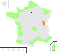 Holosteum sperguloides Lehm. - carte de répartition