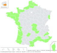 Spergula media (L.) Bartl. & H.L.Wendl. - carte de répartition