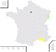 Echinopsilon hyssopifolius (Pall.) Moq. - carte de répartition