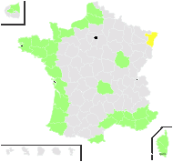 Beta maritima L. - carte de répartition