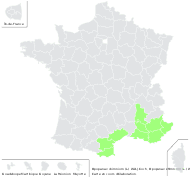 Pastinaca opopanax L. - carte de répartition