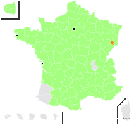 Chenopodiastrum hybridum (L.) S.Fuentes, Uotila & Borsch - carte de répartition