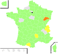 Atriplex muralis (L.) Crantz - carte de répartition