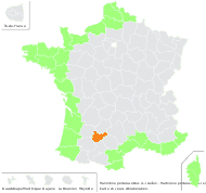 Halimione portulacoides (L.) Aellen - carte de répartition