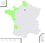 Salicornia ×marshallii (Marshall) Géhu - carte de répartition