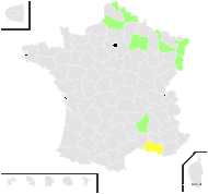 Salsola squarrosa subsp. controversa (Tod. ex Lojac.) Mosyakin - carte de répartition