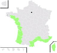 Salsola mutica C.A.Mey. - carte de répartition