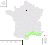 Belowia paradoxa Bunge - carte de répartition