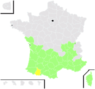 Cistus gautieri Foucaud & Rouy - carte de répartition