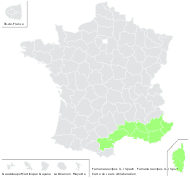 Fumana laevipes (L.) Spach - carte de répartition