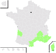 Fumana thymifolia (L.) Spach ex Webb - carte de répartition