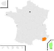 Halimium halimifolium subsp. lepidotum (Spach) Maire - carte de répartition