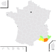 Convolvulus aleppensis Sa'ad - carte de répartition