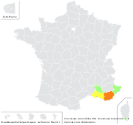 Convolvulus betonicifolius Mill. - carte de répartition