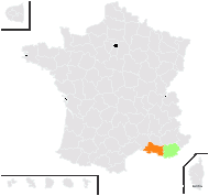 Convolvulus elegantissimus Mill. - carte de répartition