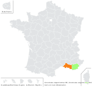 Convolvulus elegantissimus Mill. - carte de répartition
