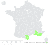 Convolvulus lanuginosus Desr. - carte de répartition