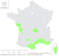 Convolvulus lineatus L. - carte de répartition