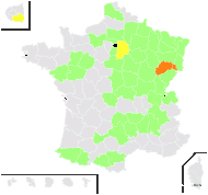 Holandrea carvifolia (Vill.) Reduron, Charpin & Pimenov - carte de répartition