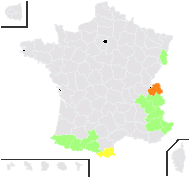 Rhodiola tachiroei (Franch. & Sav.) Nakai - carte de répartition