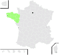 Peucedanum occidentale Bubani - carte de répartition