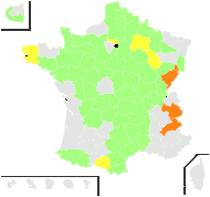 Sedum forsterianum Sm. - carte de répartition