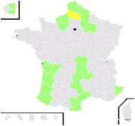 Cucurbita maxima Duchesne - carte de répartition