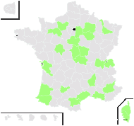 Cuscuta arvensis Fiori - carte de répartition