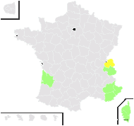 Cuscuta kotschyi Des Moul. - carte de répartition