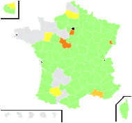 Cuscuta epicnidea Bernh. - carte de répartition