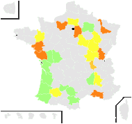 Cuscuta suaveolens Ser. - carte de répartition