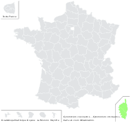 Cynomorium coccineum L. - carte de répartition