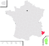 Physospermum cornubiense (L.) DC. - carte de répartition