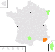 Anisum vulgare Gaertn. - carte de répartition