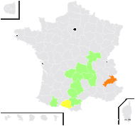 Knautia arvensis subsp. angustata (Rouy) Bonnier & Douin - carte de répartition