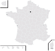 Knautia salvadoris sensu P.Fourn. - carte de répartition