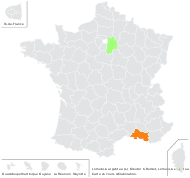 Trochocephalus argenteus (L.) Á.Löve & D.Löve - carte de répartition