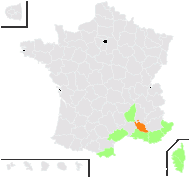 Pimpinella peregrina L. - carte de répartition