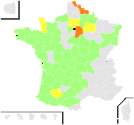 Drosera media E.H.L.Krause - carte de répartition