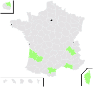 Diospyros lotus L. - carte de répartition