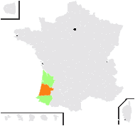 Elatine brochonii Clavaud - carte de répartition