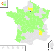 Elatine hexandra var. pedunculata (Coss. & Germ.) Rouy & Foucaud - carte de répartition