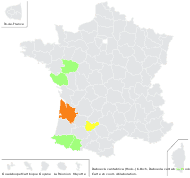Daboecia cantabrica (Huds.) K.Koch - carte de répartition