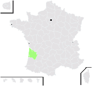 Erica occidentalis (Benth.) Mateo & Figuerola - carte de répartition