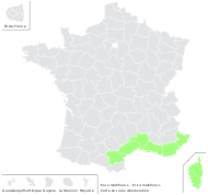 Erica multiflora L. - carte de répartition